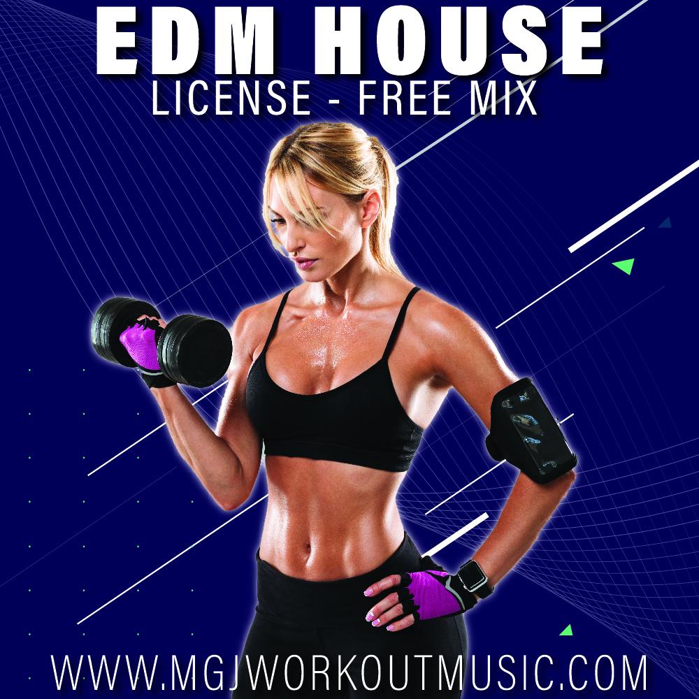 EDM House License Free Mix